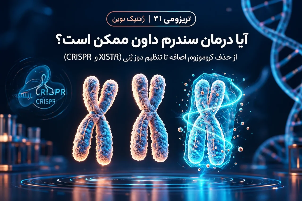 انقلابی از ژاپن؛ آیا میتوان کروموزوم اضافی در سندرم داون را حذف یا خاموش کرد؟